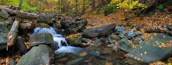 Creek w lesie panorama — Zdjęcie stockowe