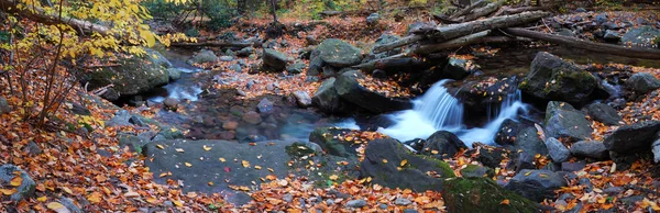 Autumn creek panorama — Zdjęcie stockowe