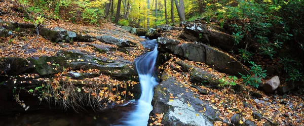 Река на скалах с панорамным видом на листву — стоковое фото
