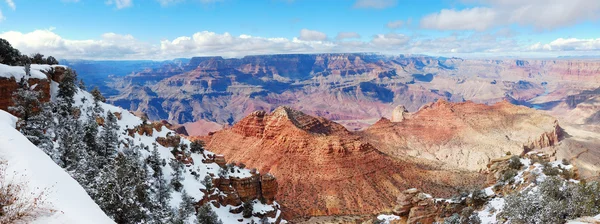 Vue panoramique du Grand Canyon en hiver avec neige — Photo