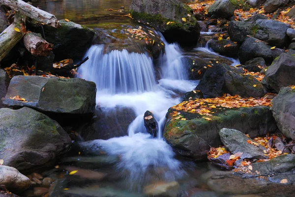 Höstens creek närbild — Stockfoto