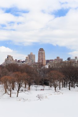 New York'un manhattan central Park'ta kış