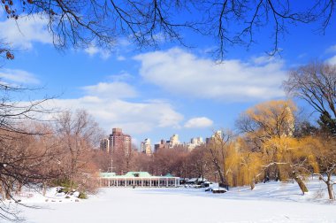 New York'un manhattan central park panorama