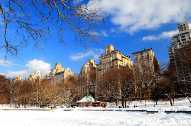 New York'un manhattan central Park'ta kış