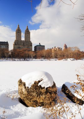 New York City Manhattan Central Park in winter clipart