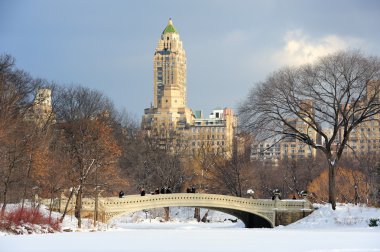 New York'un manhattan central park panorama kış