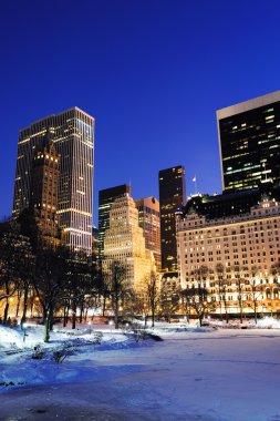 New York'un manhattan central park panorama