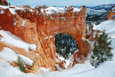 Kışın kar ile Bryce canyon.