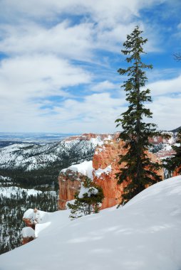 Kışın kar ile Bryce canyon.