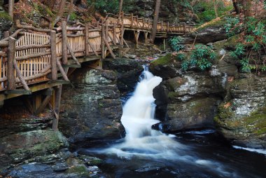 yürüyüş parkurları ve yeşillik ile sonbahar creek