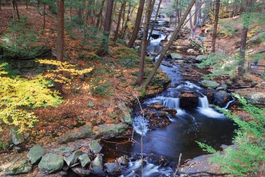 Autumn creek with hiking trails and foliage clipart