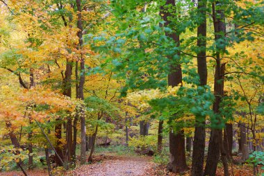 Hiking trail clipart