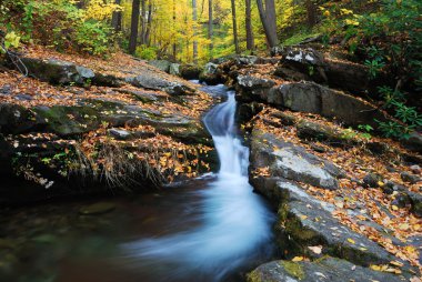 Arroyo de montaña