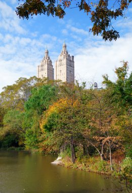 New York Şehri Manhattan Central Park