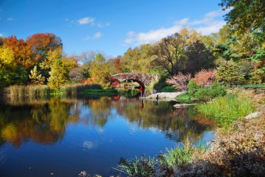 New York Şehri Manhattan Central Park