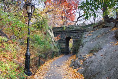 New York Şehri Manhattan Central Park