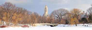 New York'un manhattan central Park'ta kış