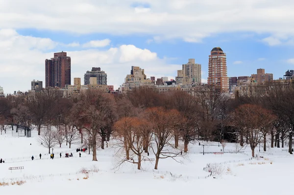 Nueva York Manhattan Central Park en invierno —  Fotos de Stock