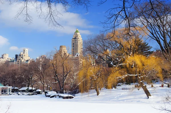 Panorama Nowego Jorku manhattan central park — Zdjęcie stockowe