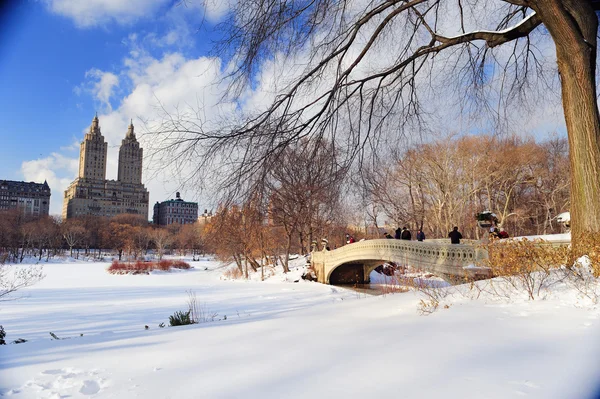 New Yorks manhattan central park panorama i vinter — Stockfoto