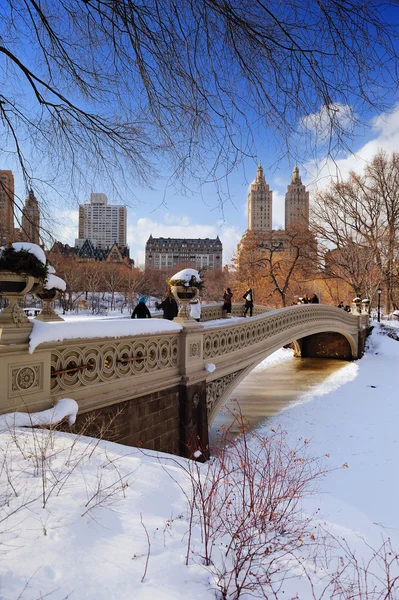 New york city panorama Manhattanu central park v zimě — Stock fotografie