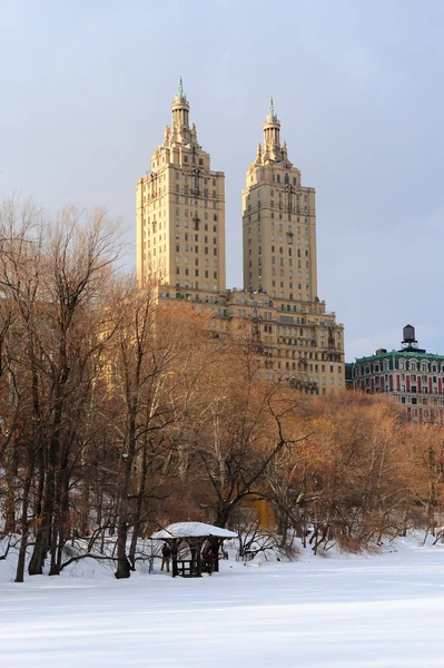 New York City Manhattan Central Park no inverno — Fotografia de Stock