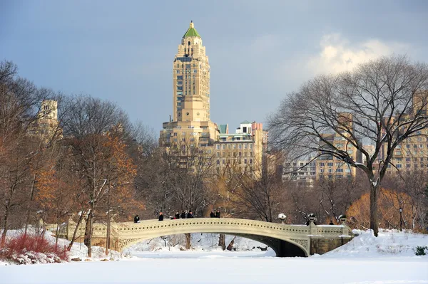 New Yorks manhattan central park panorama i vinter — Stockfoto