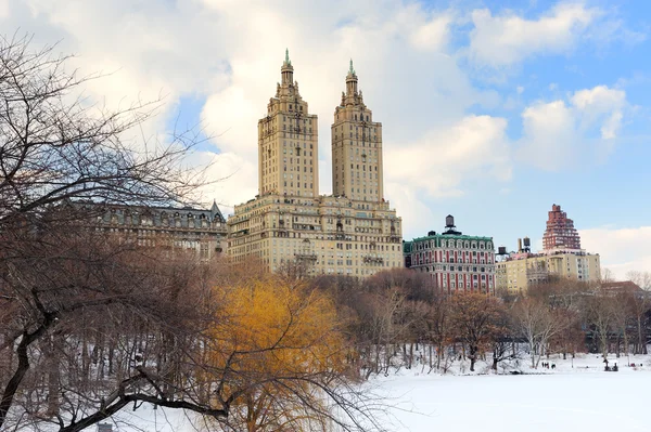 New Yorku manhattan central park v zimě — Stock fotografie