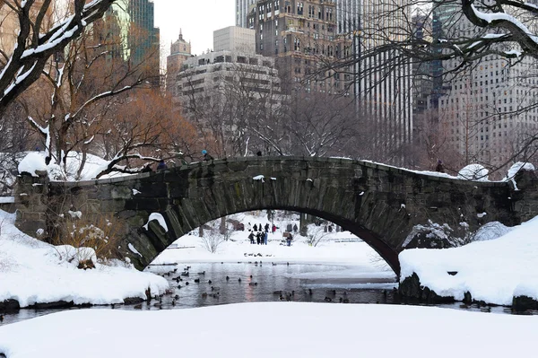 Панорама Центрального парка Нью-Йорка Манхэттен в сумерках — стоковое фото