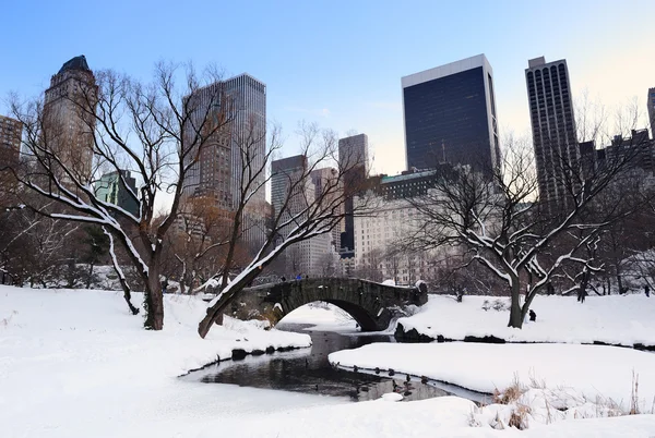 New york city manhattan central park panorama bei dämmerung — Stockfoto