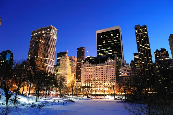 Nowym Jorku manhattan central parku panorama w zimie — Zdjęcie stockowe