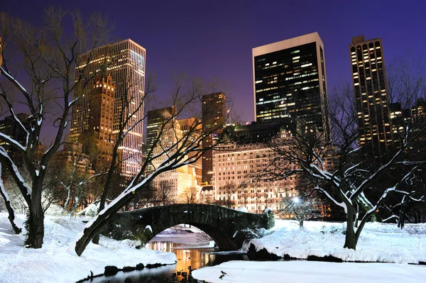 New york city manhattan central park panorama in de schemering — Stockfoto