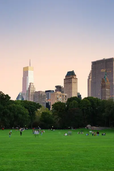 New York'taki central park alacakaranlıkta panorama adlı — Stok fotoğraf
