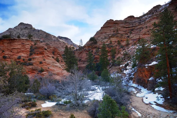Parque Nacional de Zion com neve — Fotografia de Stock