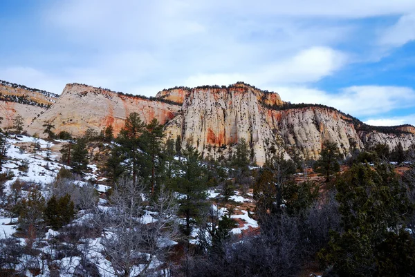 Parque Nacional de Zion no inverno — Fotografia de Stock