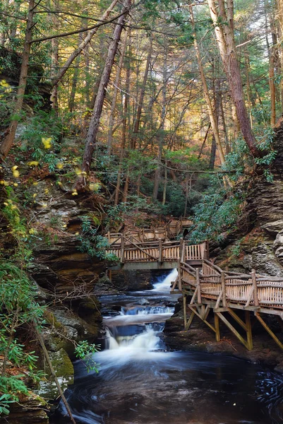 Creek de outono com trilhas para caminhadas e folhagem — Fotografia de Stock
