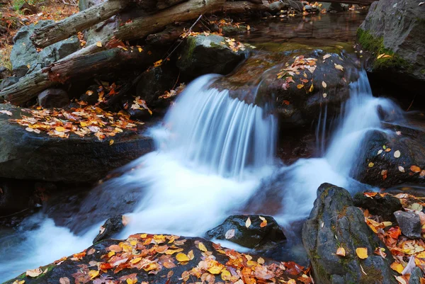 Jesień creek — Zdjęcie stockowe