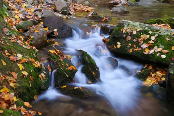 Φθινόπωρο creek — Φωτογραφία Αρχείου