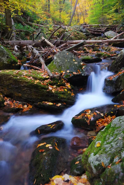 Creek en la montaña — Foto de Stock