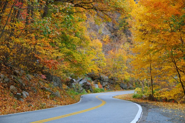 Carretera de otoño sinuosa — Foto de Stock