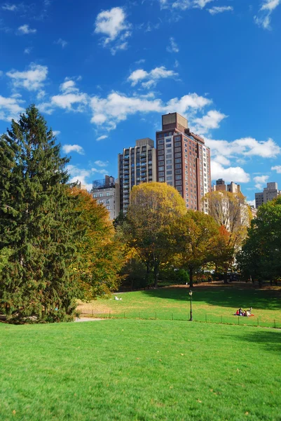 New York City Manhattan Central Park — Fotografie, imagine de stoc