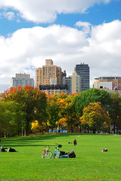 Nova Iorque Central Park skyline — Fotografia de Stock