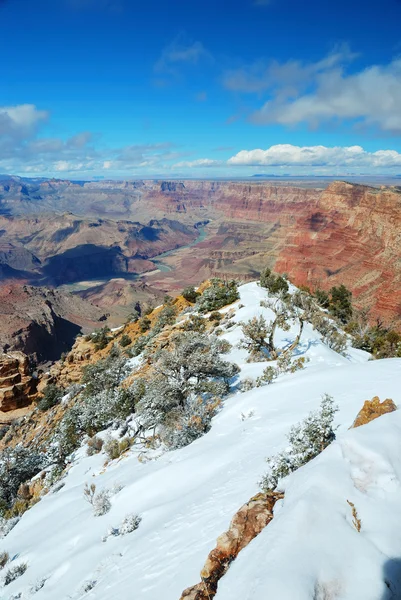 Vista panorâmica do Grand Canyon no inverno com neve — Fotografia de Stock