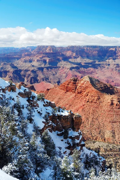 Grand canyon panorama uitzicht in de winter met sneeuw — Stockfoto