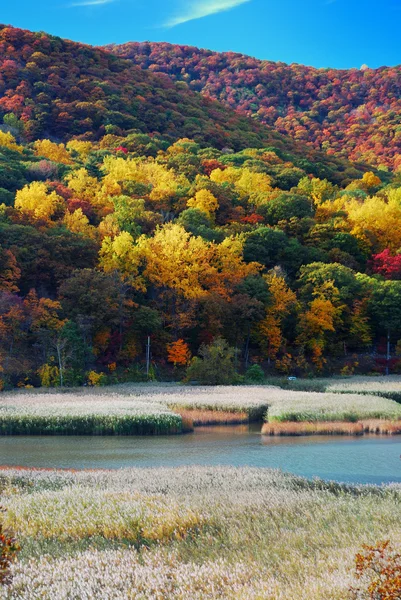Autumn Mountain with lake — Stok Foto