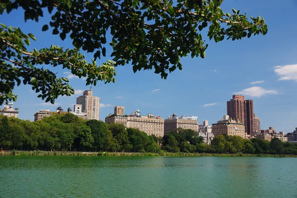 Central Park Manhattan skyline — Stock Photo, Image