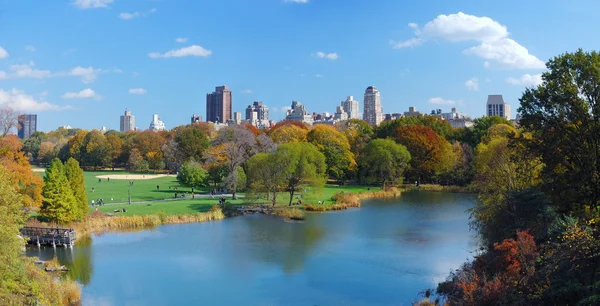 뉴욕 시 맨하탄 중앙 공원 파노라마 — 스톡 사진