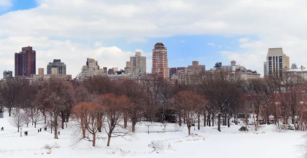 冬のニューヨーク市マンハッタンのセントラルパーク パノラマ — ストック写真