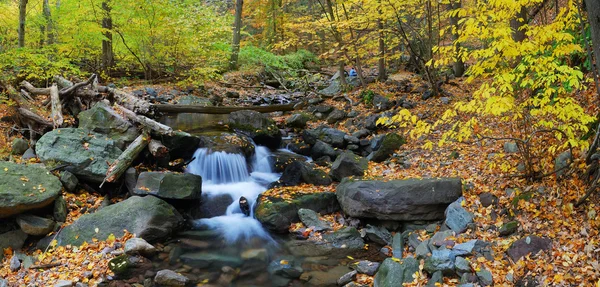 Panorama du ruisseau d'automne — Photo