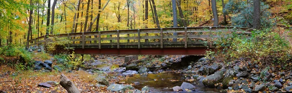 Autumn wood bridge panorama — Stock Photo, Image